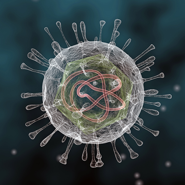 Adenovirus 1 blog Vírus que na verdade fazem bem para a humanidade Adenovirus 1 blog