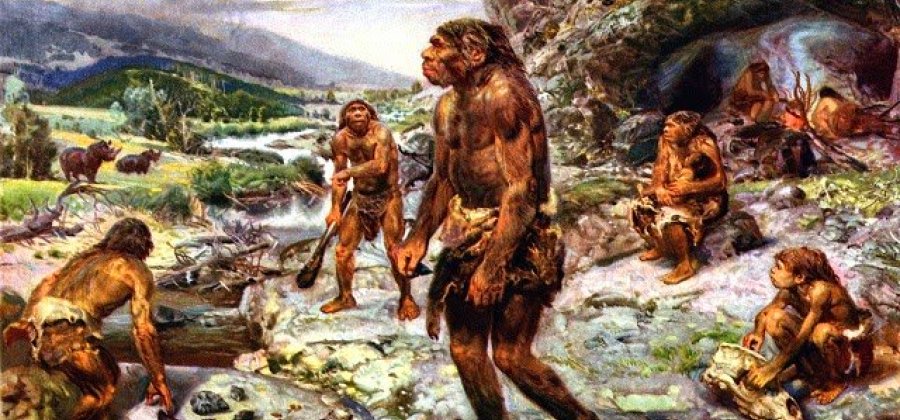 capa 85 POR QUE OS HUMANOS PERDERAM OS PELOS COM A EVOLUÇÃO? capa 85