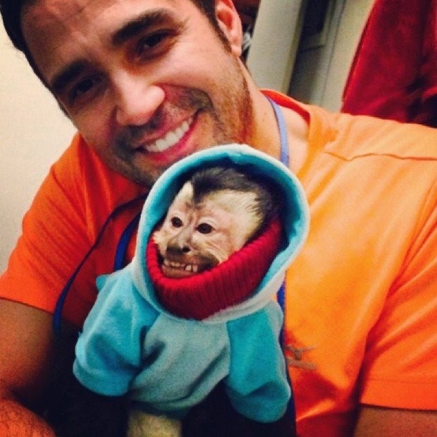 twelves 4 7 celebridades com animais de estimação totalmente insanos twelves 4