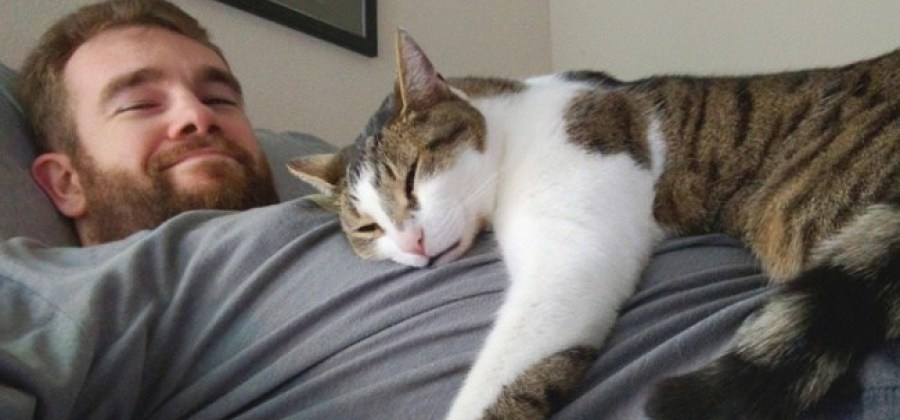 01 13 POR QUE GATOS ADORAM DORMIR EM CIMA DE SEUS DONOS? 01 13