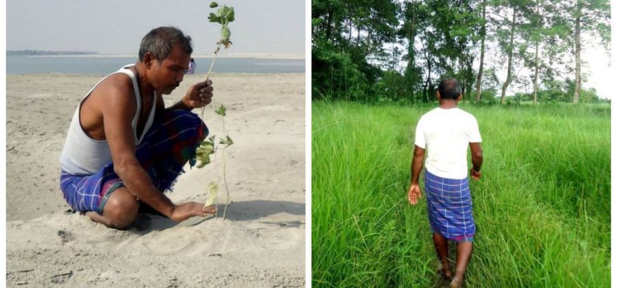 1551131254938039 A HISTÓRIA DO HOMEM QUE PASSOU 40 ANOS TRANSFORMANDO UMA ILHA DESERTA EM UMA FLORESTA GIGANTE 1551131254938039