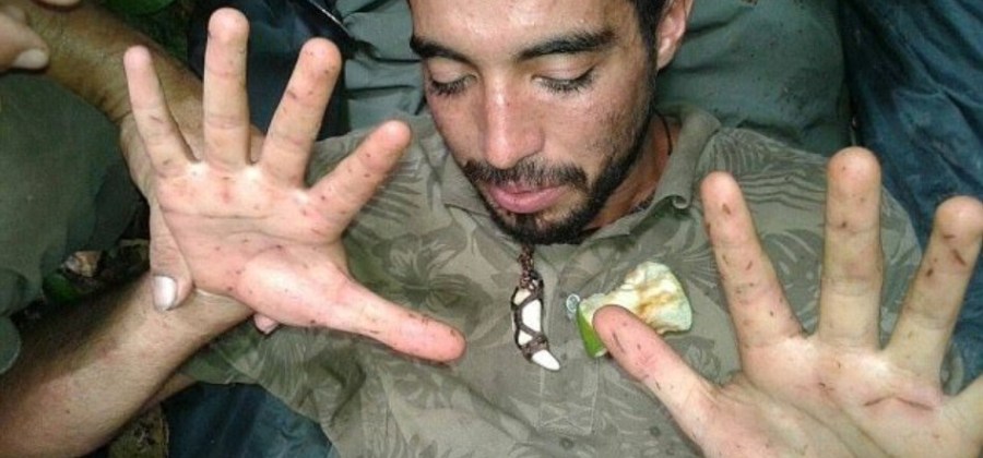 capa 181 Homem diz que macacos salvaram sua vida após ficar perdido na floresta amazônica capa 181