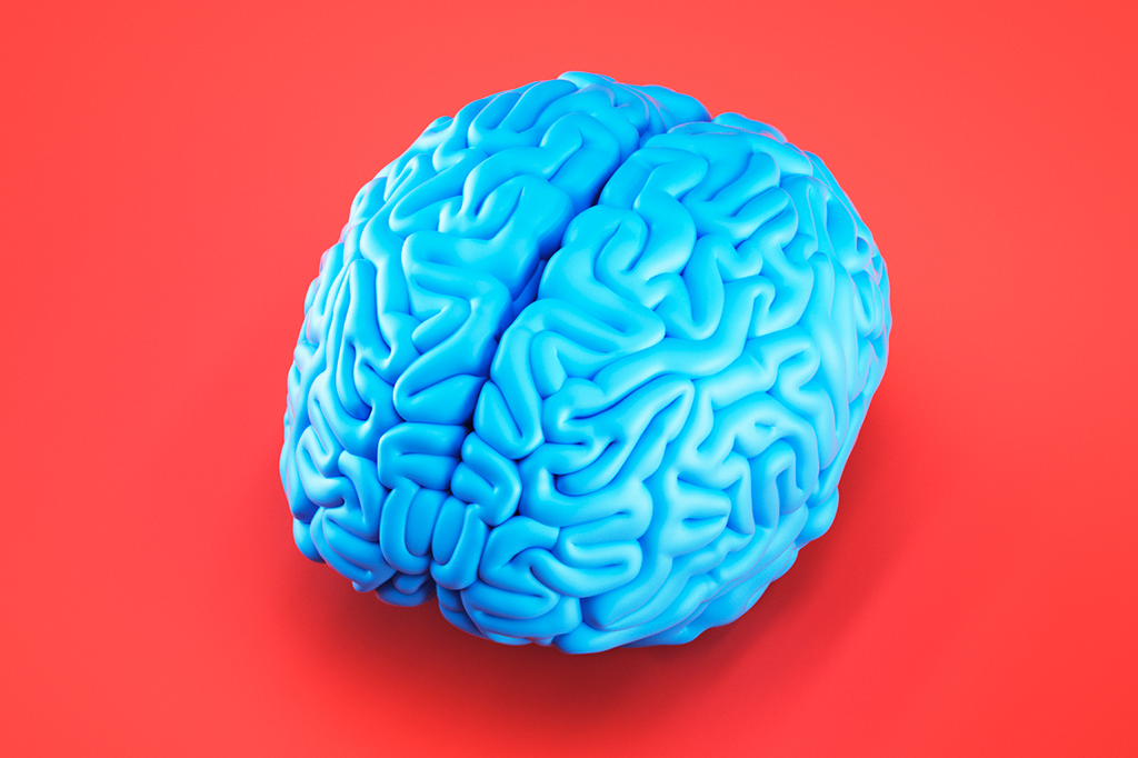 cerebro 7 formas que seu cérebro está te prejudicando cerebro