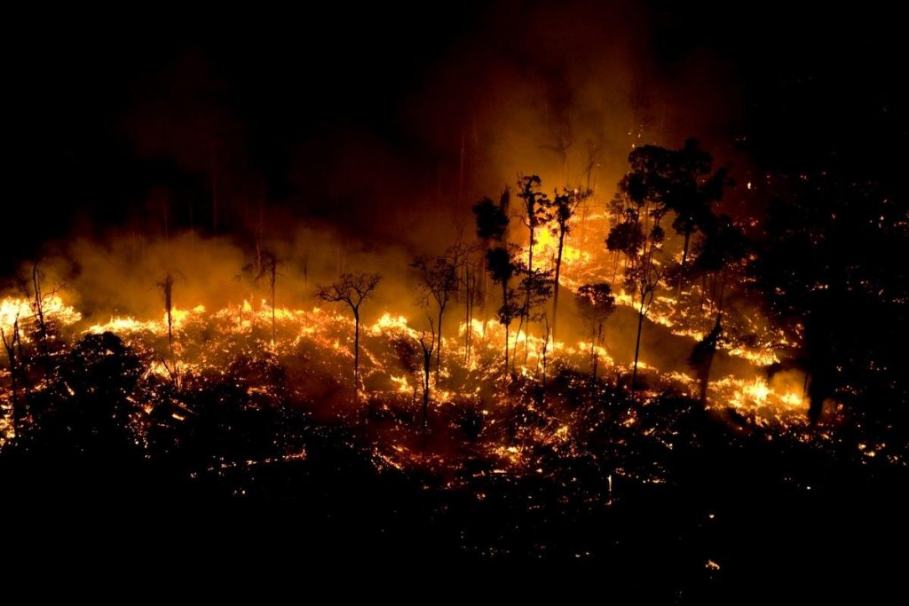 imagens vistas por satelite mais chocantes dos incendios na Amazonia capa 7 imagens vistas por satélite mais chocantes dos incêndios na Amazônia imagens vistas por satelite mais chocantes dos incendios na Amazonia capa
